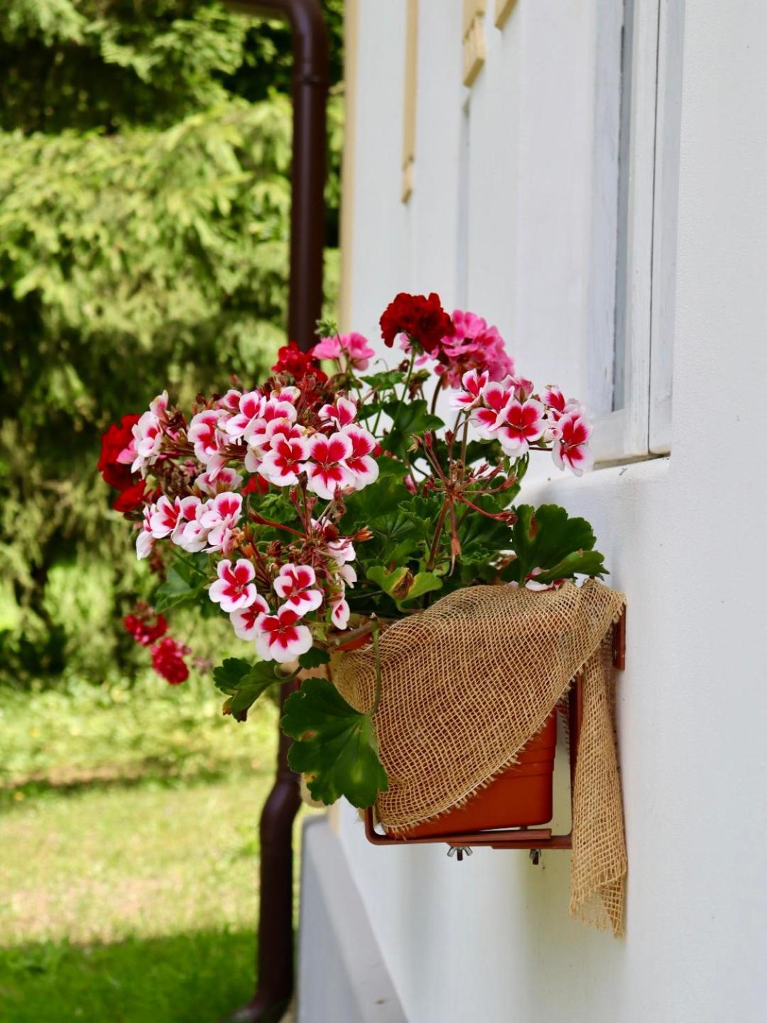 Leśni Chalupa Hlucov Kokorin Exterior foto